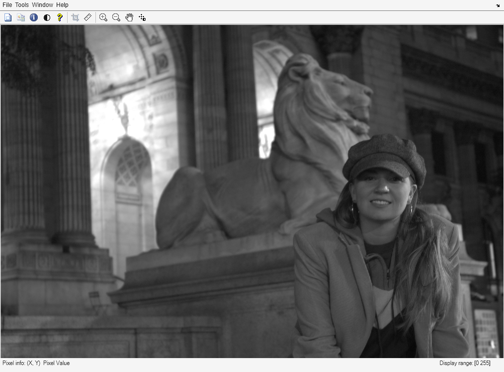 Figure Image Tool 1 - mandi.rset contains an axes object and other objects of type uimenu, uitoolbar, uipanel. The hidden axes object contains an object of type image.
