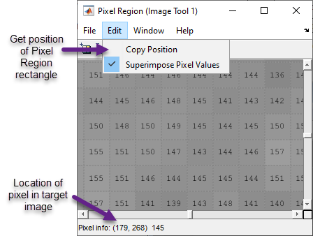 Pixel Region tool, showing the location of the Copy Position option in the Edit menu and the Pixel Info display at the bottom left corner of the window