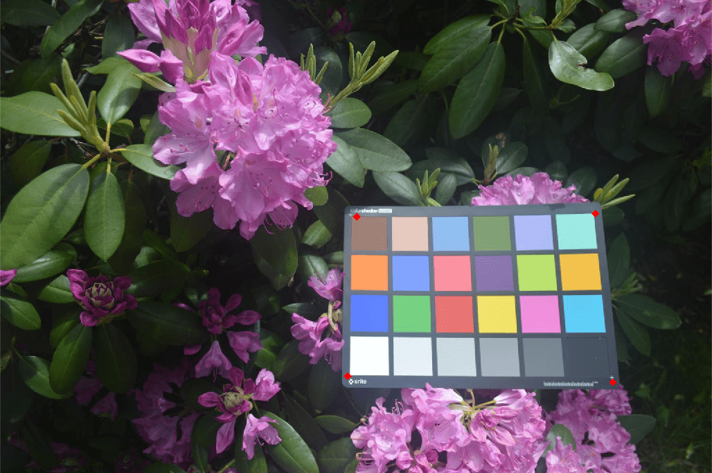 Figure Color checker test chart contains an axes object. The hidden axes object contains an object of type image.