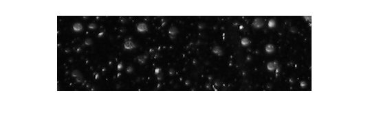 Figure contains an axes object. The hidden axes object contains an object of type image.