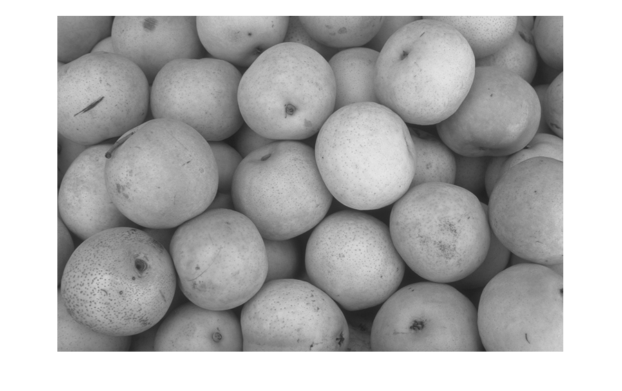 Figure contains an axes object. The hidden axes object contains an object of type image.