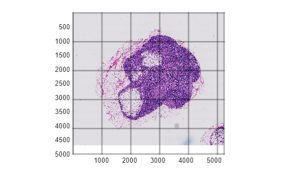 Figure contains an axes object. The axes object contains an object of type bigimageshow.
