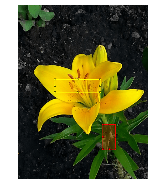 Figure contains an axes object. The hidden axes object contains 3 objects of type image, images.roi.rectangle.