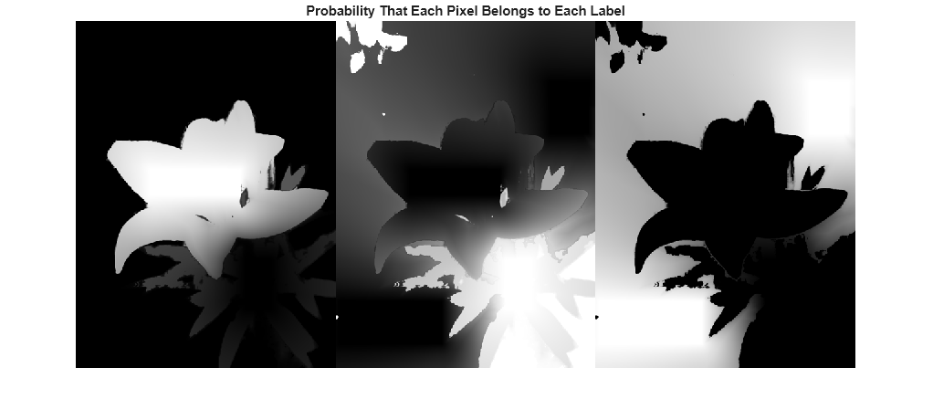 Figure contains an axes object. The hidden axes object with title Probability That Each Pixel Belongs to Each Label contains an object of type image.