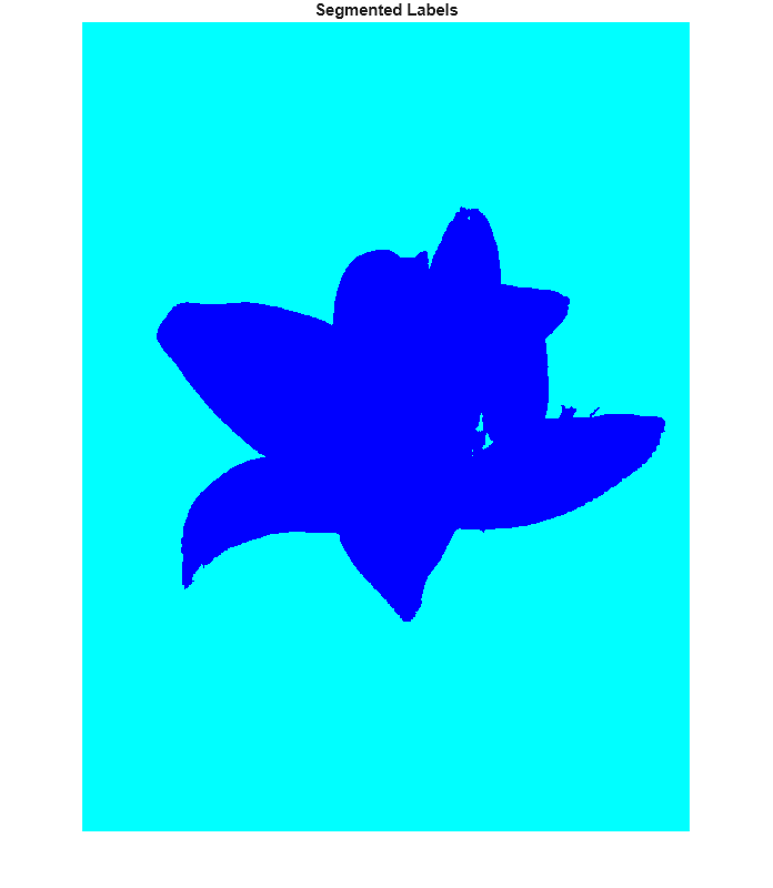 Figure contains an axes object. The hidden axes object with title Segmented Labels contains an object of type image.