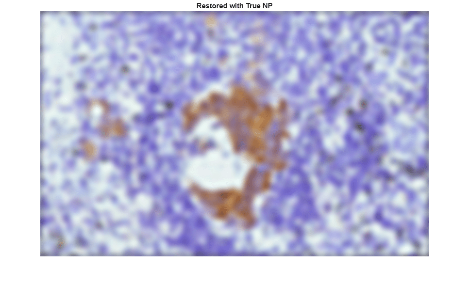 Figure contains an axes object. The hidden axes object with title Restored with True NP contains an object of type image.