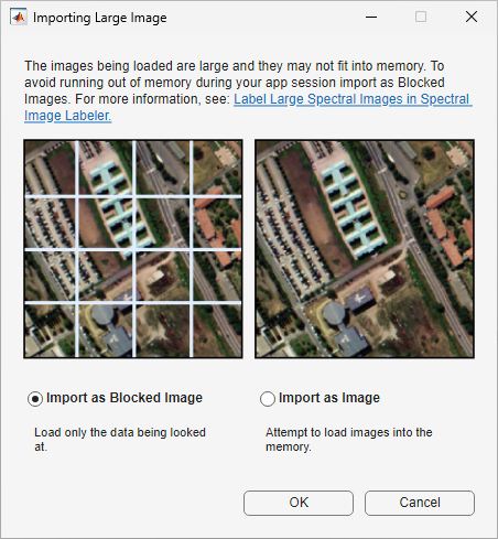 Dialog box providing the option to import spectral image as a blocked image in Spectral Image Labeler app.