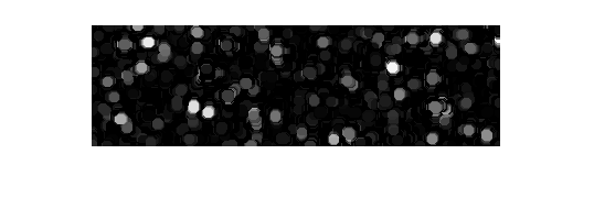 Figure contains an axes object. The hidden axes object contains an object of type image.