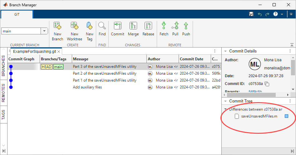 Branch Manager tool. The Branch Manager includes a toolstrip at the top, a list of branches and tags on the left, the commit graph and details in the center, and author details and commit differences on the right.