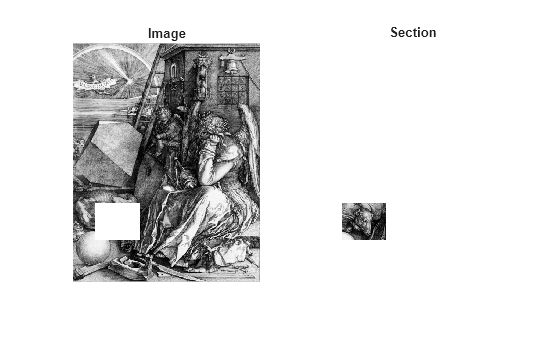 Figure contains 2 axes objects. Hidden axes object 1 with title Image contains an object of type image. Hidden axes object 2 with title Section contains an object of type image.