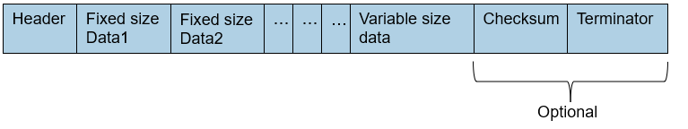 General structure of a packet containing variable sized field