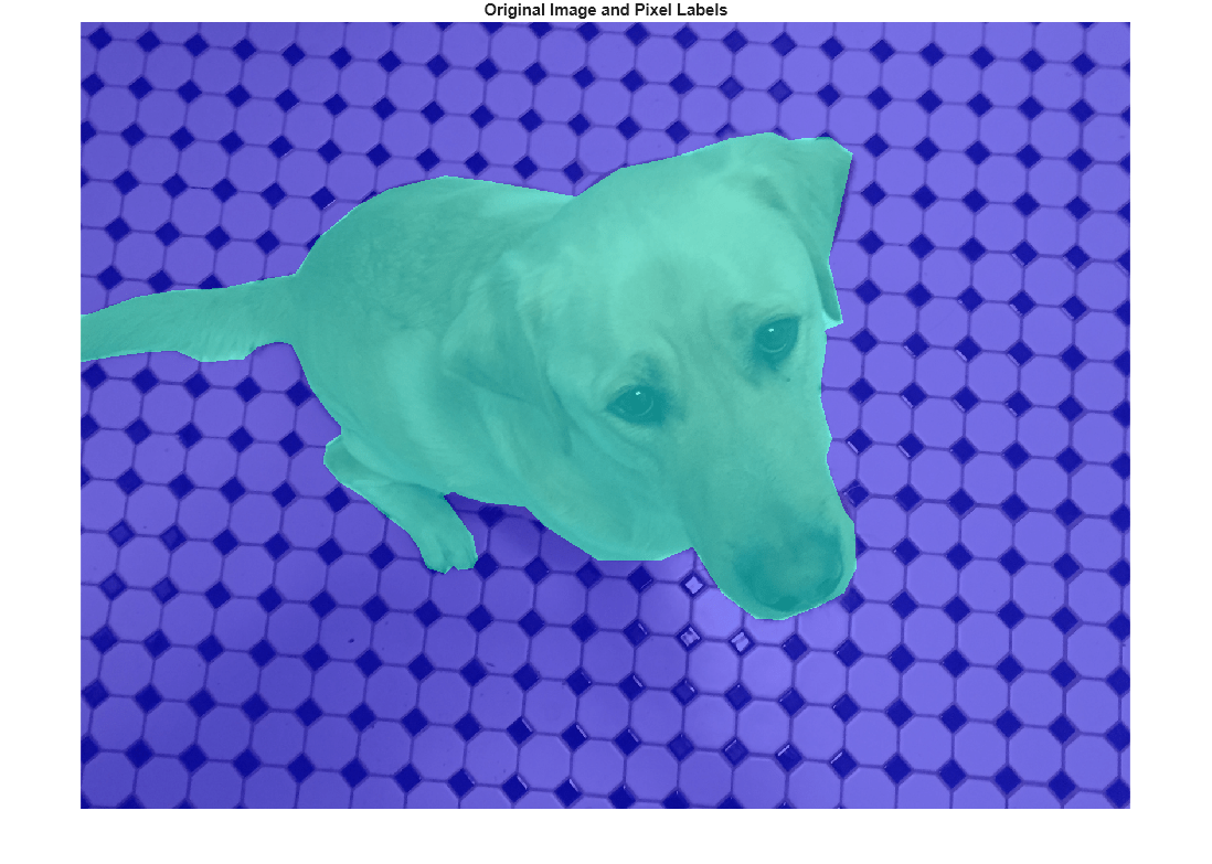 Figure contains an axes object. The hidden axes object with title Original Image and Pixel Labels contains an object of type image.