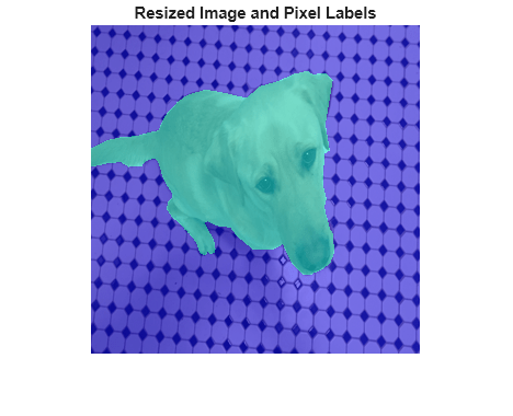 Figure contains an axes object. The hidden axes object with title Resized Image and Pixel Labels contains an object of type image.
