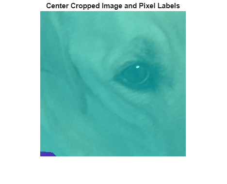 Figure contains an axes object. The hidden axes object with title Center Cropped Image and Pixel Labels contains an object of type image.