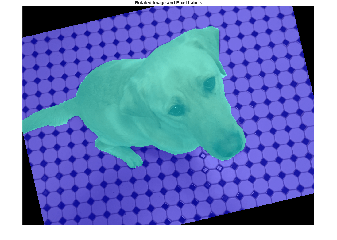 Figure contains an axes object. The hidden axes object with title Rotated Image and Pixel Labels contains an object of type image.