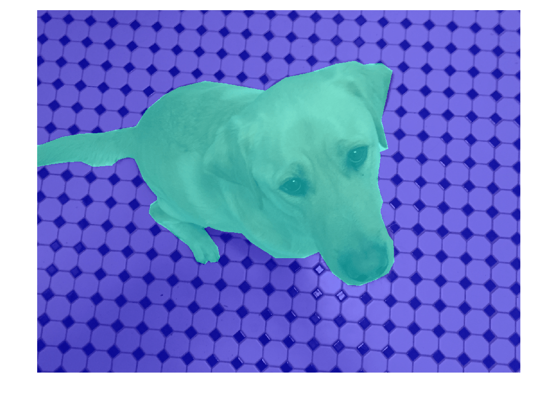 Figure contains an axes object. The hidden axes object contains an object of type image.