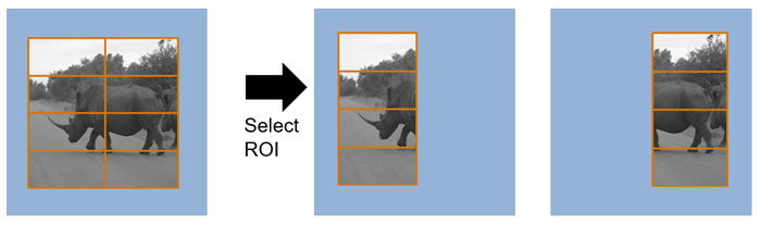 Eight tiled regions returned as two output pixel streams that each contain four vertically-aligned regions.