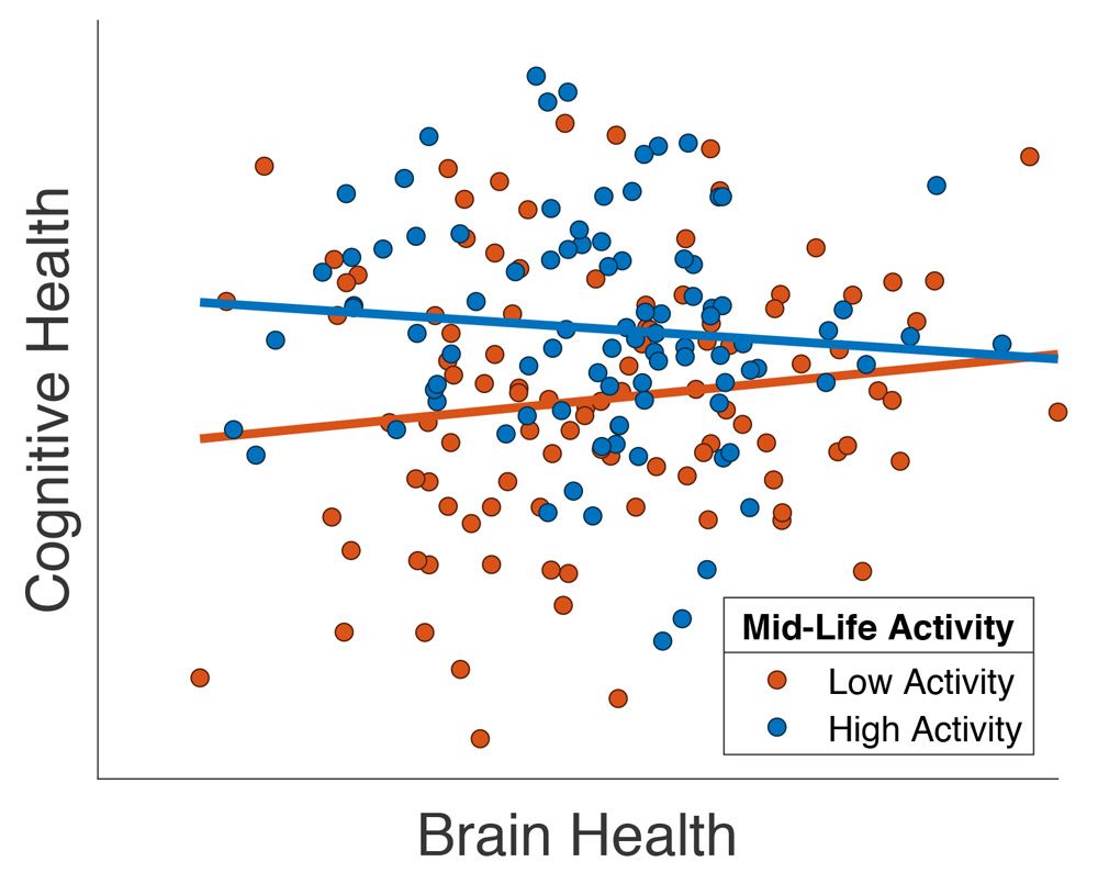中年期に多くの社会活動を行ったと報告した高齢患者について、脳の健康状態の改善が見られることを示すグラフ