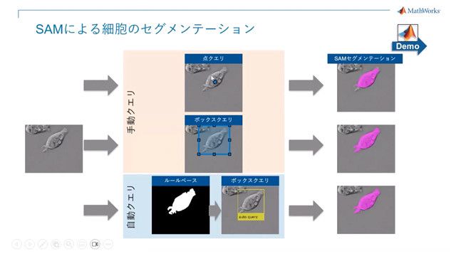 本セミナーでは画像解析・点群解析プログラミングをハンズオン形式で体験いただきます。画像からの細胞領域の抽出、AIを用いた画像分類、3次元点群による植生解析とおいった、農学分野でよくある課題を取り上げ、MATLABを使った画像処理に挑戦していただきます。