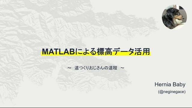 標高データを読み取りMATLAB(特にMapping Toolbox)を駆使して立体的な地表データを生成する。そんなへるにあわんこの物語。